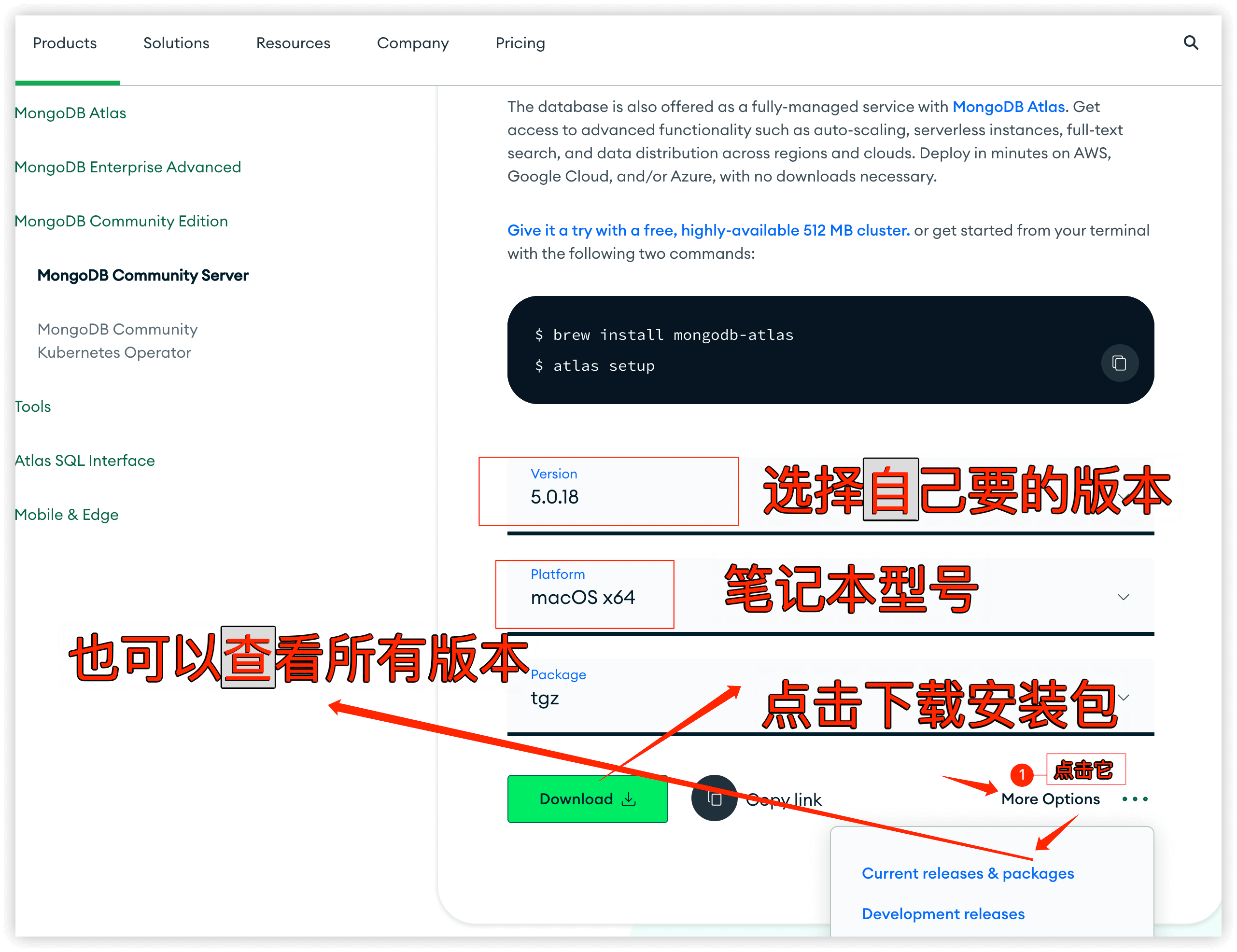 https://image.myxuechao.com/mongoDB/mongodb-02.png